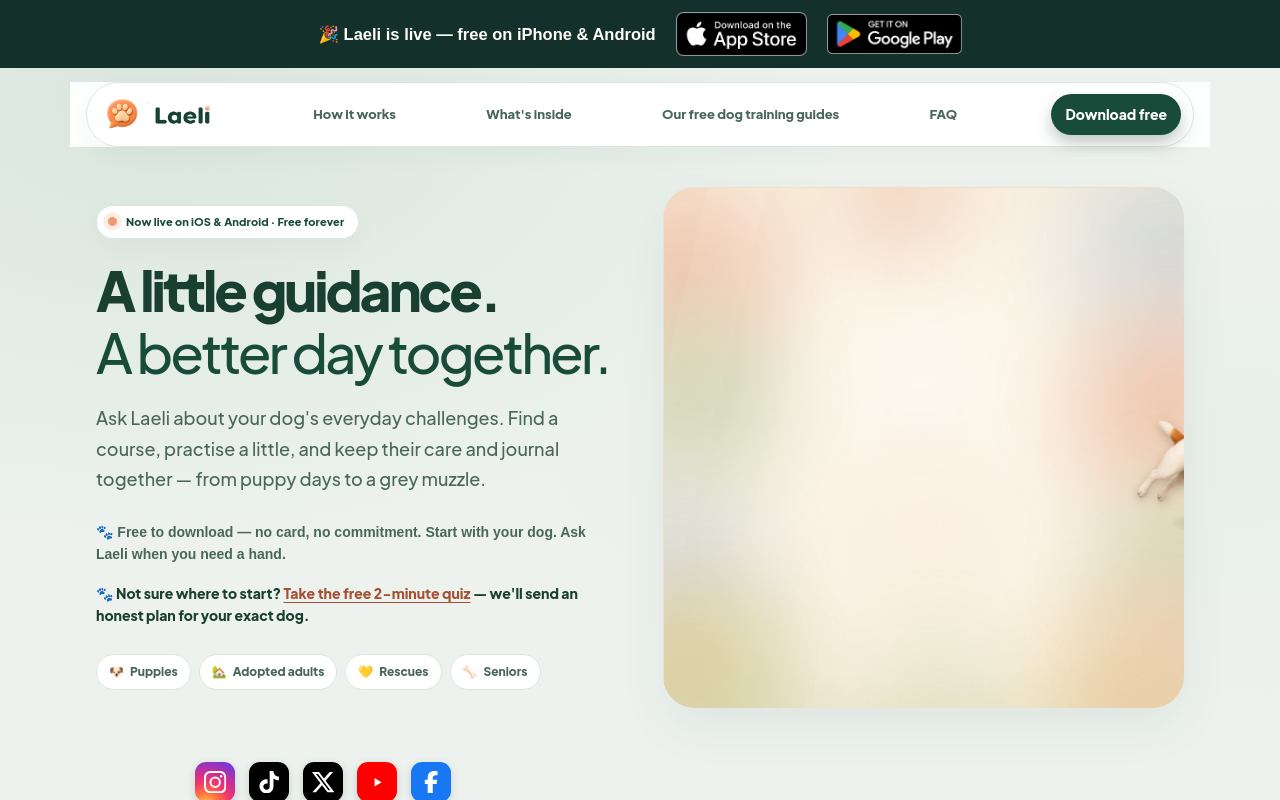 Homepage of laeli.app, captured Sep 24, 2026